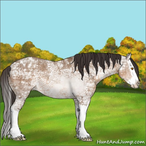 Horse Color:Sable Champagne Ice Splash Varnish