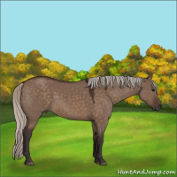 Horse Color:Silver Brown Dun 