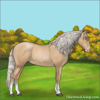 Horse Color:Silver Blue Roan Pearl Tobiano Frame 