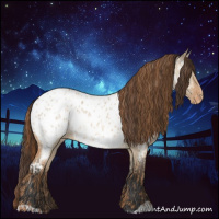 Horse Color:Red Dun Appaloosa  and Bay Dun Appaloosa 