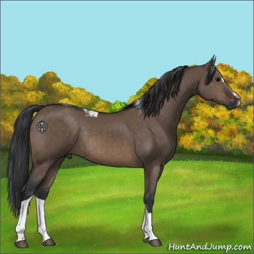 Horse Color:Brown Dun Sabino Tobiano Rabicano 