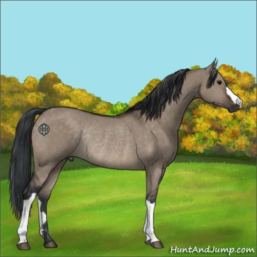 Horse Color:Brown Dun Rabicano 