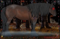 Horse Color:Bay Frame
