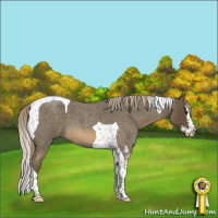 Horse Color:Chocolate Palomino Roan Splash Tobiano