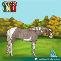 Horse Color:Chocolate Palomino Roan Splash Tobiano