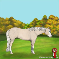 Horse Color:Cremello Roan Splash 