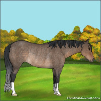 Horse Color:Brown Dun Rabicano