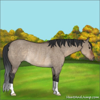 Horse Color:Brown Dun Rabicano 