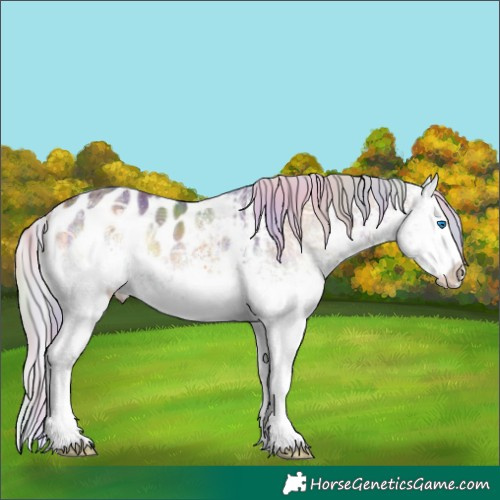 Horse Color:Plaid White Spotted Silver Brown Ice Onyx Splash Appaloosa and Nacre White Spotted Silver Buckskin Ice Onyx Splash Appaloosa