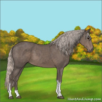 Horse Color:Silver Black Tobiano 