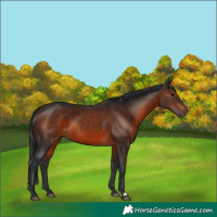 Horse Color:Brown 