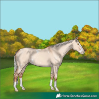Horse Color:White Spotted Silver Classic Champagne Dun Splash 