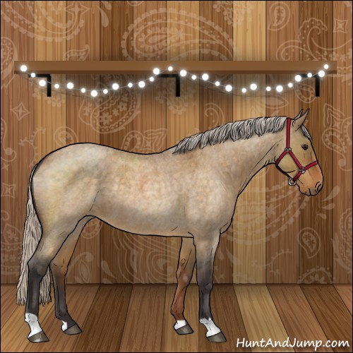 Horse Color:Silver Buckskin Roan Dun