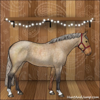 Horse Color:Silver Buckskin Roan Dun 