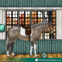 Horse Color:Silver Smoky Grullo Tobiano
