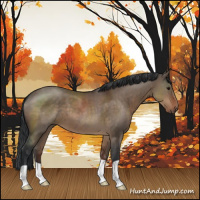 Horse Color:Brown Dun 