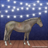Horse Color:Silver Black 