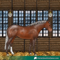 Horse Color:Silver Brown 