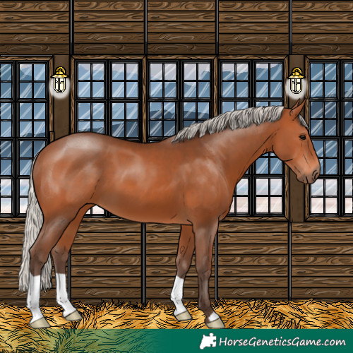Horse Color:Silver Brown 