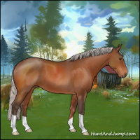 Horse Color:Silver Brown 