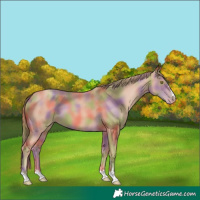 Horse Color:Nacre Gold Champagne 