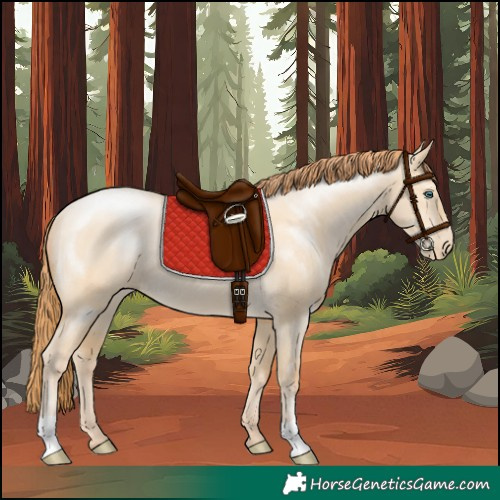 Horse Color:Buckskin Pearl Dun Rabicano 