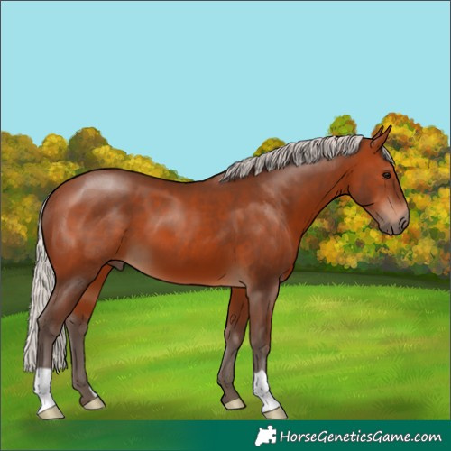 Horse Color:Silver Brown 