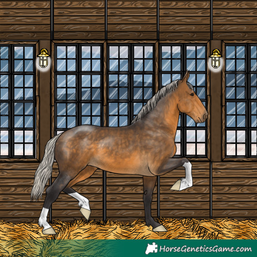 Horse Color:Silver Buckskin 