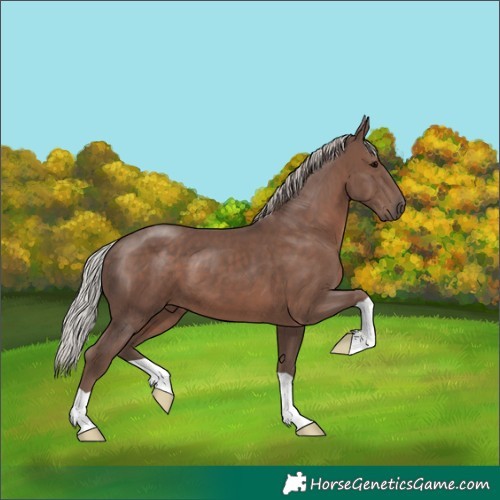 Horse Color:Silver Black 