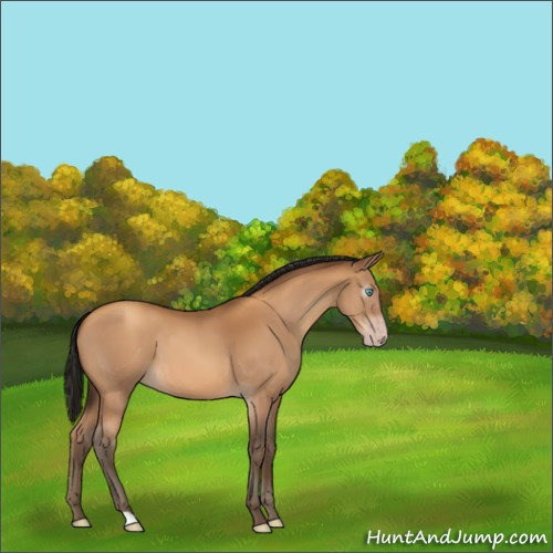 Horse Color:Gray Amber Champagne 