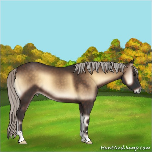 Horse Color:Silver Brown Onyx 