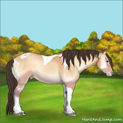 Horse Color:Amber Champagne Onyx Tobiano 