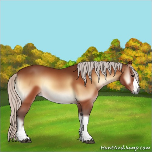 Horse Color:Silver Bay Onyx 