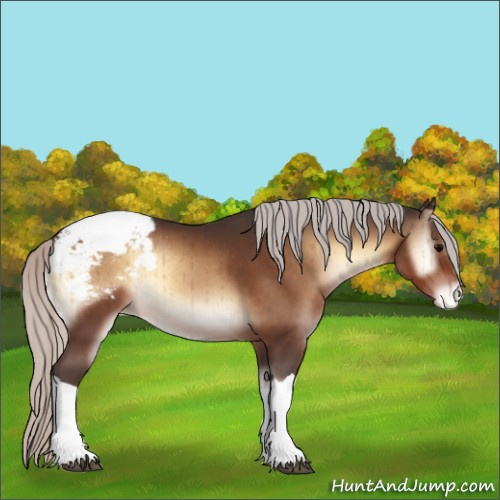 Horse Color:Silver Bay Onyx Appaloosa Brindle 