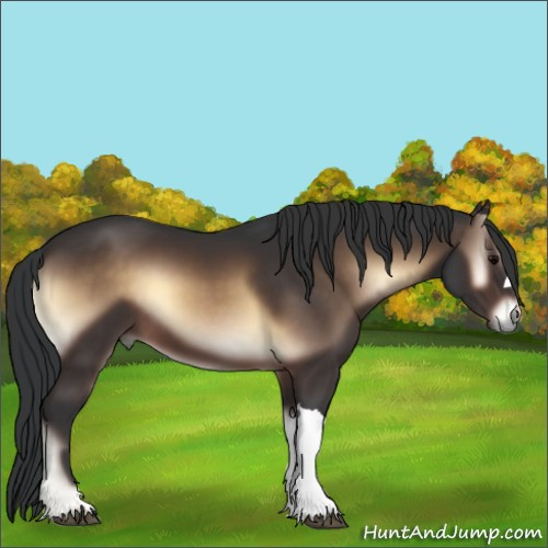 Horse Color:Brown Onyx 