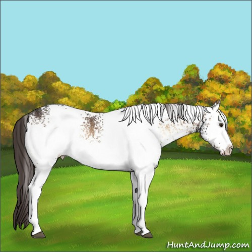 Horse Color:White Spotted Liver Red Onyx 