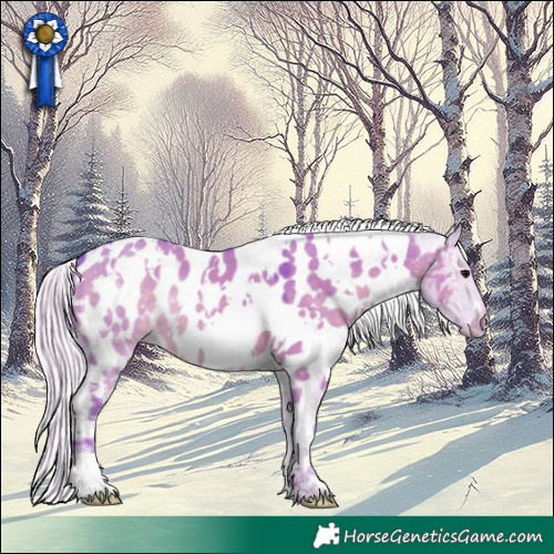 Horse Color:Watercolor White Spotted Silver Grullo Appaloosa 