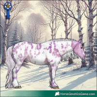 Horse Color:Watercolor White Spotted Silver Grullo Appaloosa 