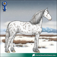 Horse Color:Silver Grullo Sabino Appaloosa