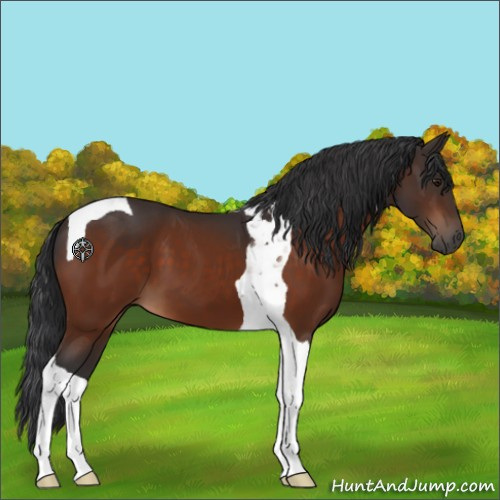 Horse Color:Brown Tobiano 