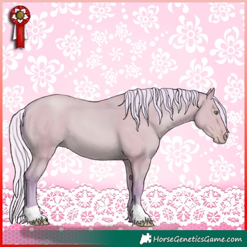 Horse Color:Watercolor Silver Amber Champagne 