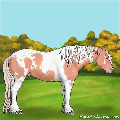Horse Color:Watercolor White Spotted Silver Sable Champagne Tobiano 