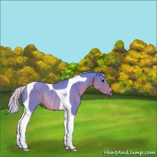 Horse Color:Watercolor Silver Black Tobiano Rabicano 