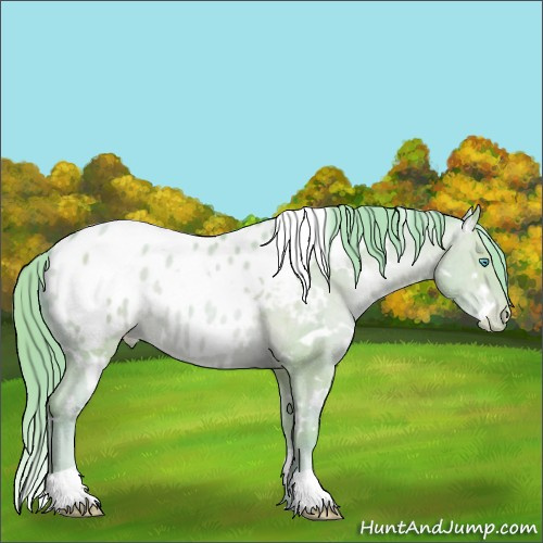 Horse Color:Watercolor White Spotted Sable Champagne Pearl Appaloosa 