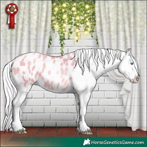 Horse Color:Watercolor White Spotted Silver Amber Champagne Pearl Blanket