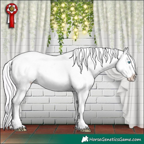Horse Color:Watercolor Silver Amber Champagne Pearl Appaloosa 