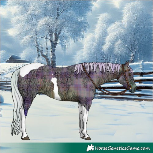 Horse Color:Watercolor Plaid Silver Brown Ice Dun Tobiano