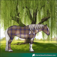 Horse Color:Plaid  White Spotted Silver Black Tobiano 