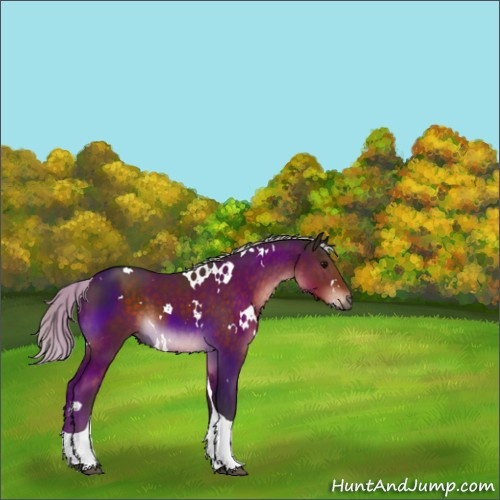 Horse Color:White Spotted Silver Brown Tobiano 