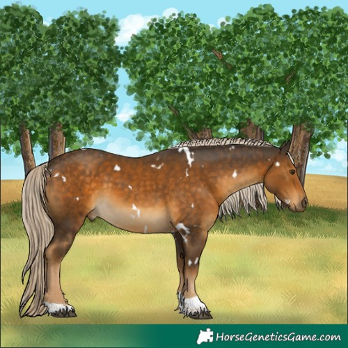 Horse Color:White Spotted Chocolate Palomino Mushroom Tobiano 